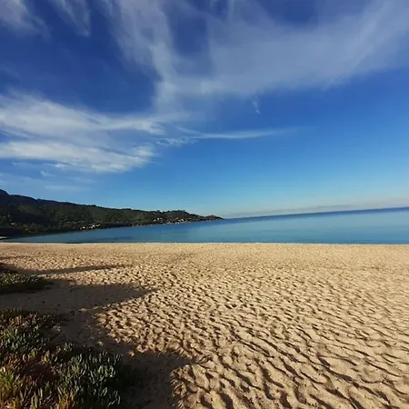 Beautiful At 100m From The