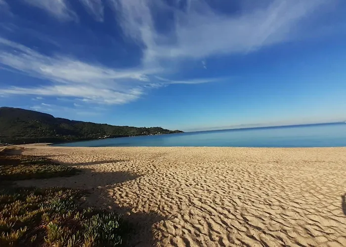 Beautiful At 100m From The